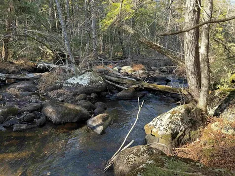 481 Chocorua Mountain Highway Tamworth NH 03886
