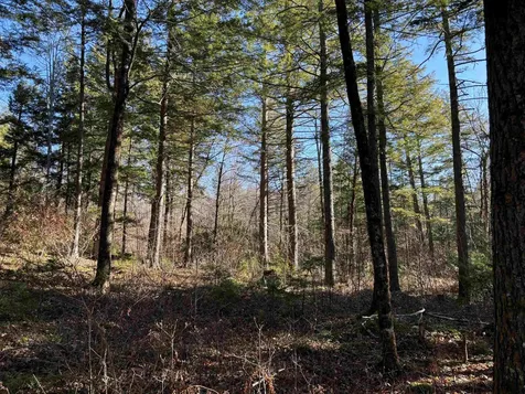 481 Chocorua Mountain Highway Tamworth NH 03886