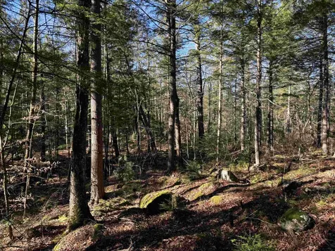 481 Chocorua Mountain Highway Tamworth NH 03886