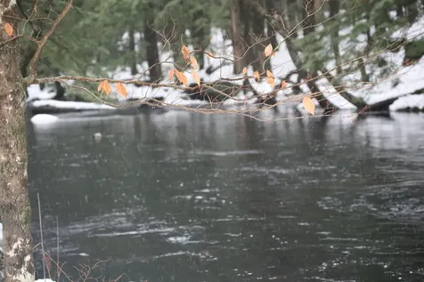 481 Chocorua Mountain Highway Tamworth NH 03886