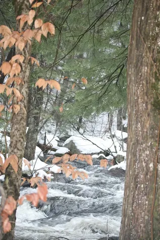 481 Chocorua Mountain Highway Tamworth NH 03886