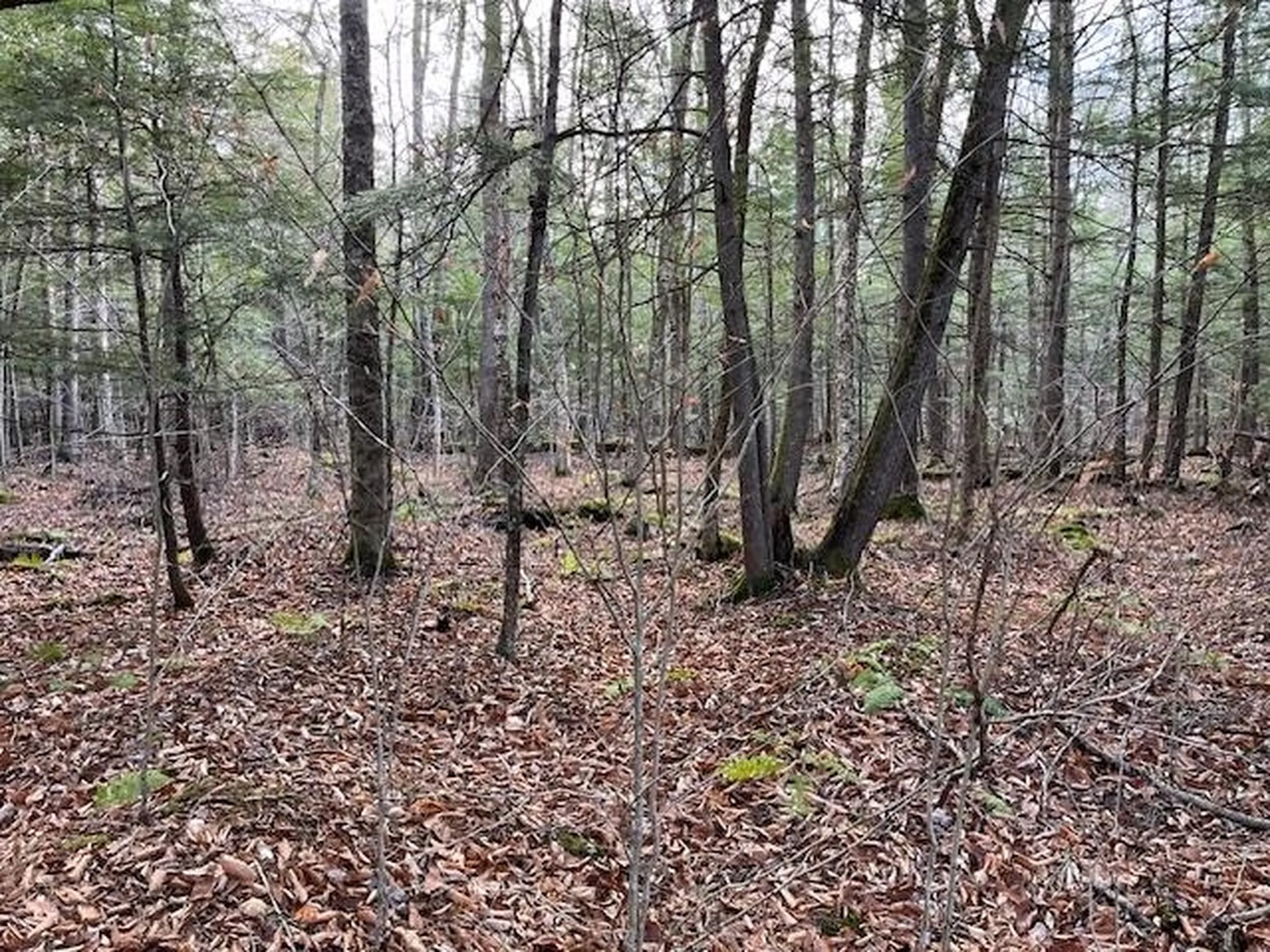 0 Gould Road Chester VT 05143