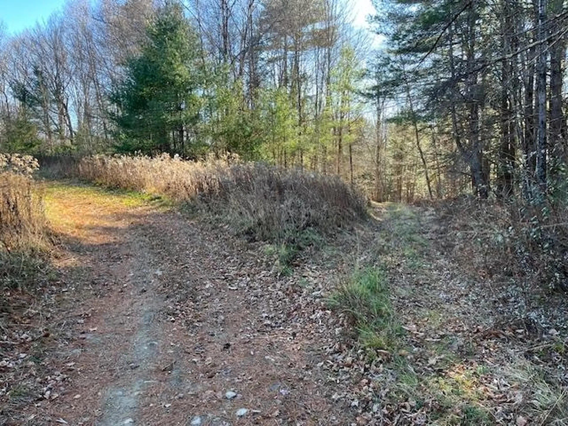 0 Gould Road Chester VT 05143