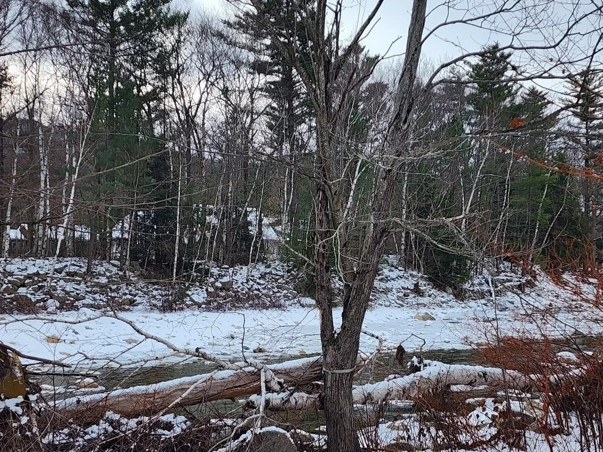 24 Bell Street Gorham NH 03581