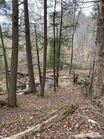 0 Echo Valley Farm Road Epsom NH 03234