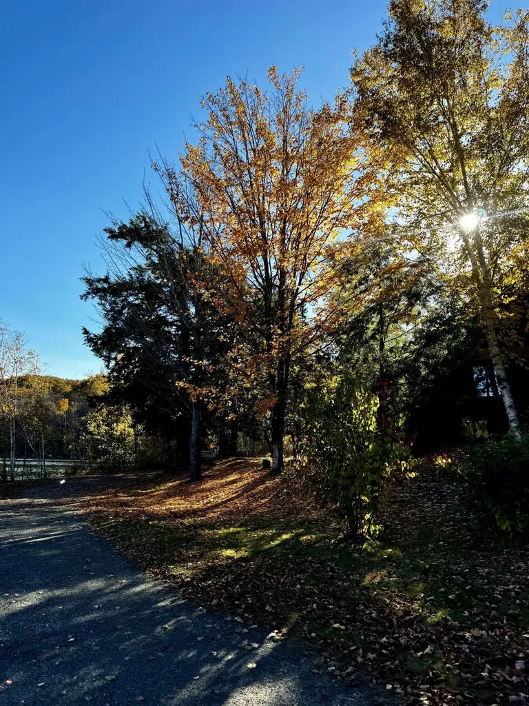 802 Covered Bridge Lane Grantham NH 03753