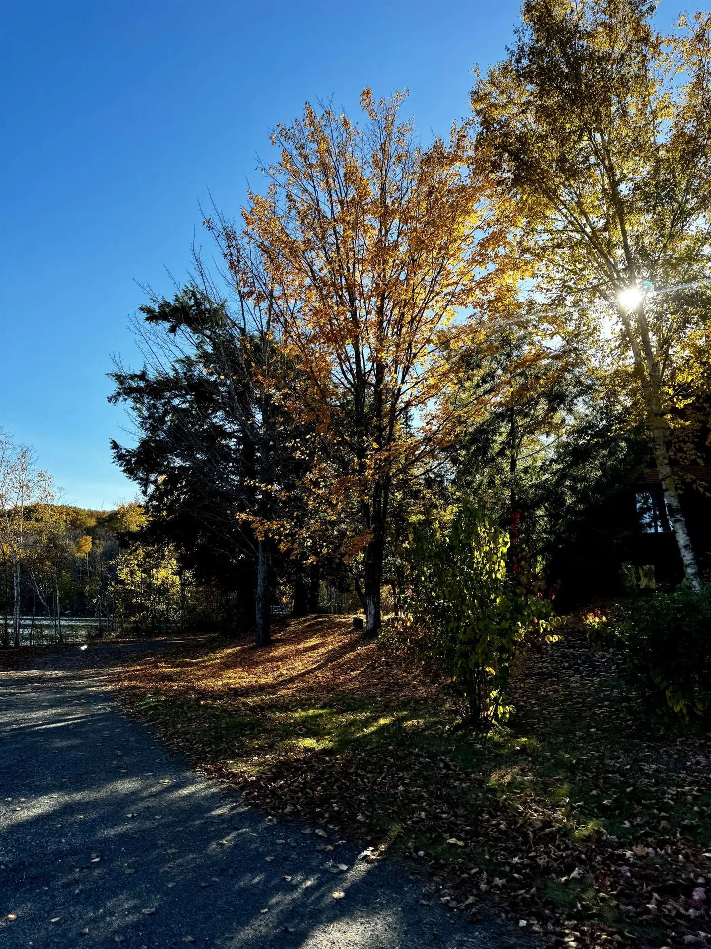 802 Covered Bridge Lane Grantham NH 03753