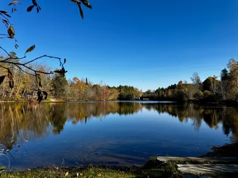 802 Covered Bridge Lane Grantham NH 03753