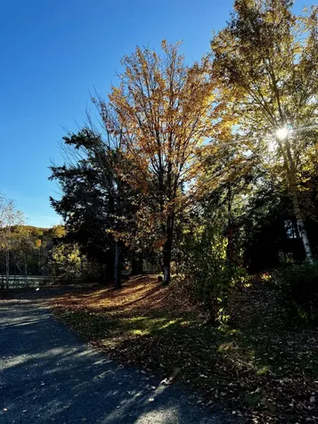 802 Covered Bridge Lane Grantham NH 03753