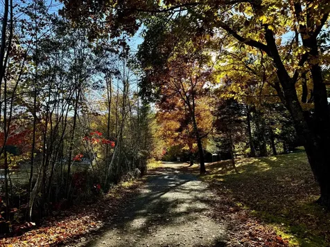 802 Covered Bridge Lane Grantham NH 03753