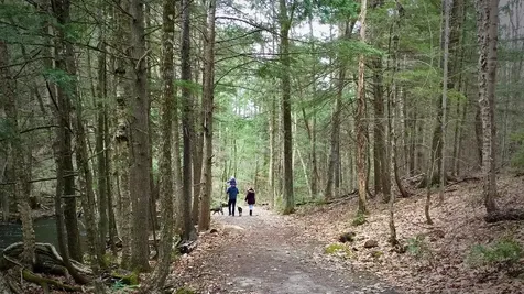 802 Covered Bridge Lane Grantham NH 03753