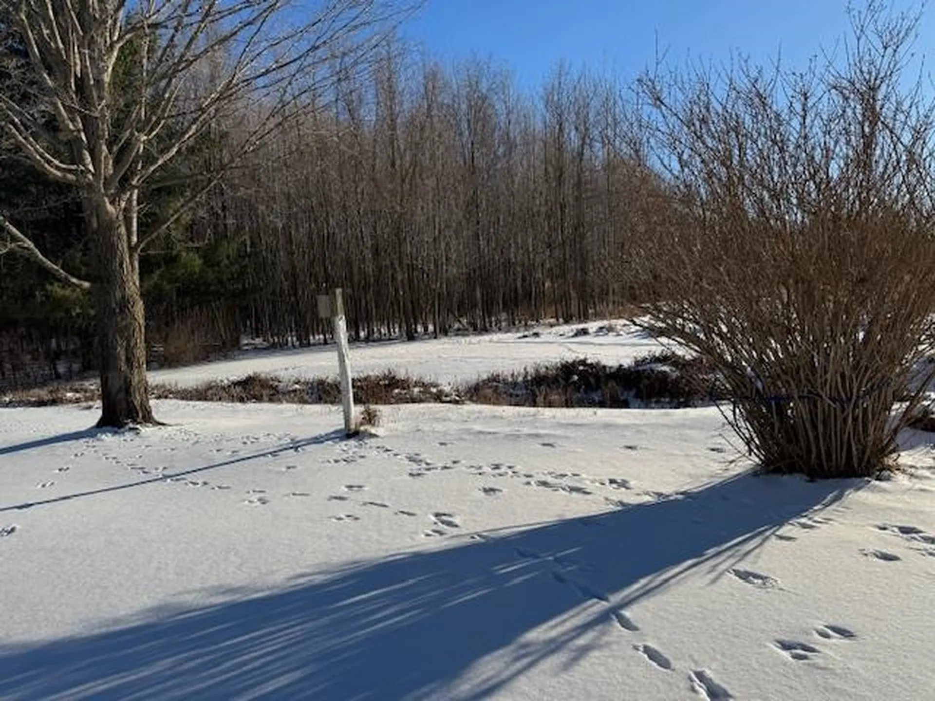 182 Tracy Lane Shelburne VT 05482