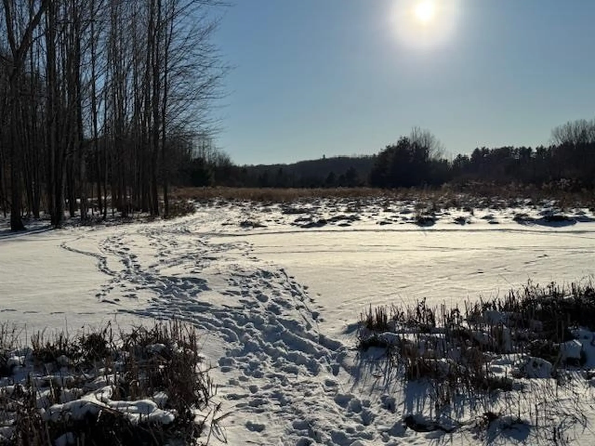 182 Tracy Lane Shelburne VT 05482