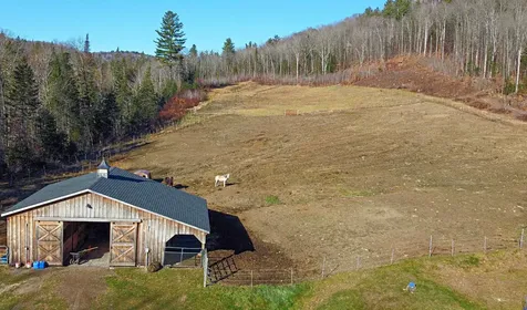 490 Old Man Mountain Road St. Johnsbury VT 05819