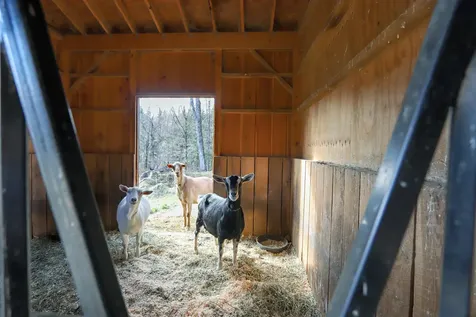 490 Old Man Mountain Road St. Johnsbury VT 05819