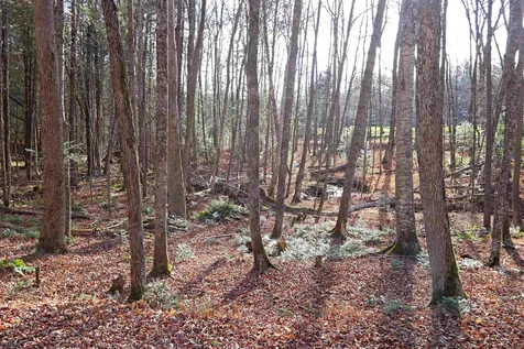 490 Old Man Mountain Road St. Johnsbury VT 05819