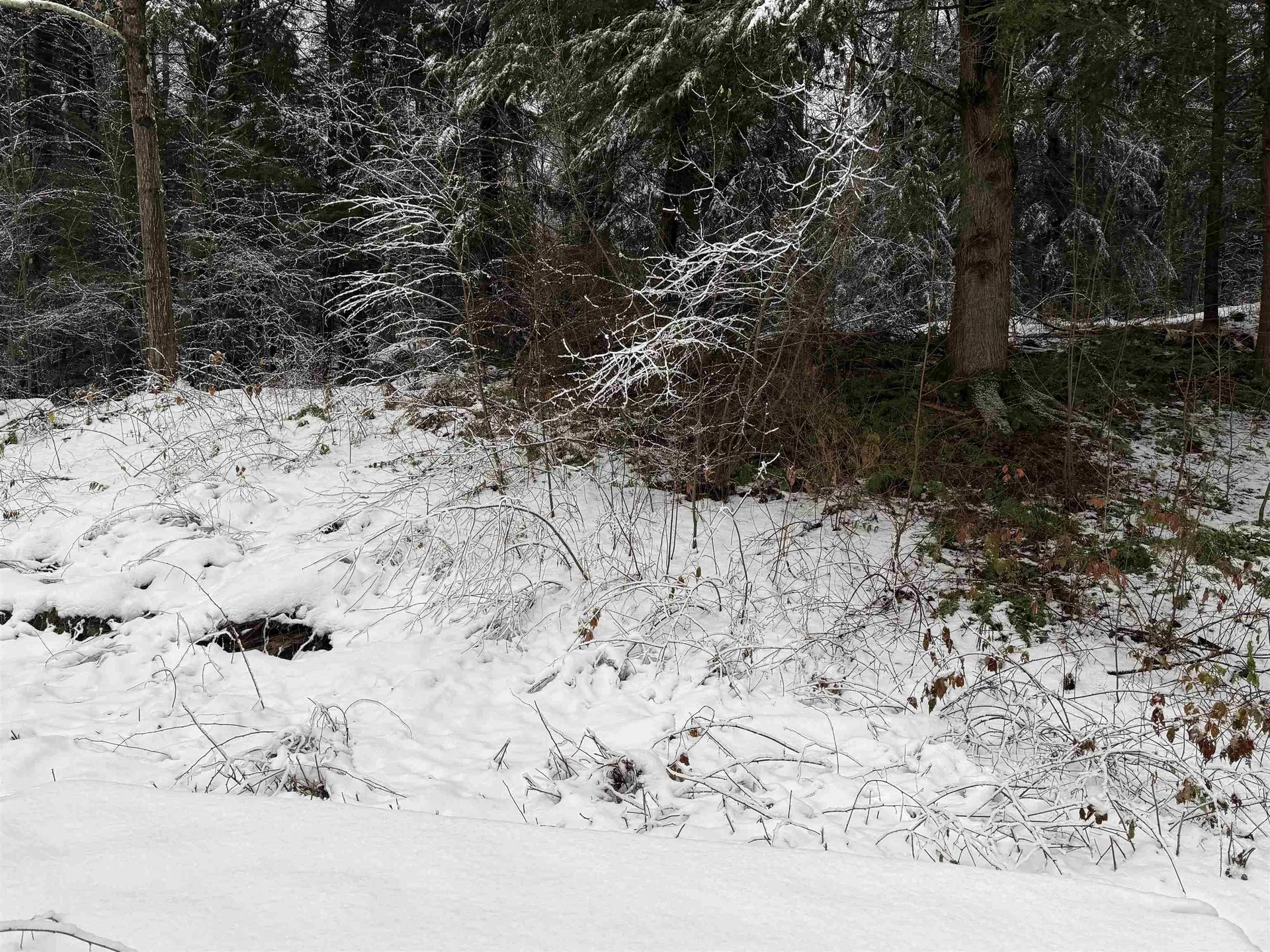 16 Beam Road Putney VT 05346