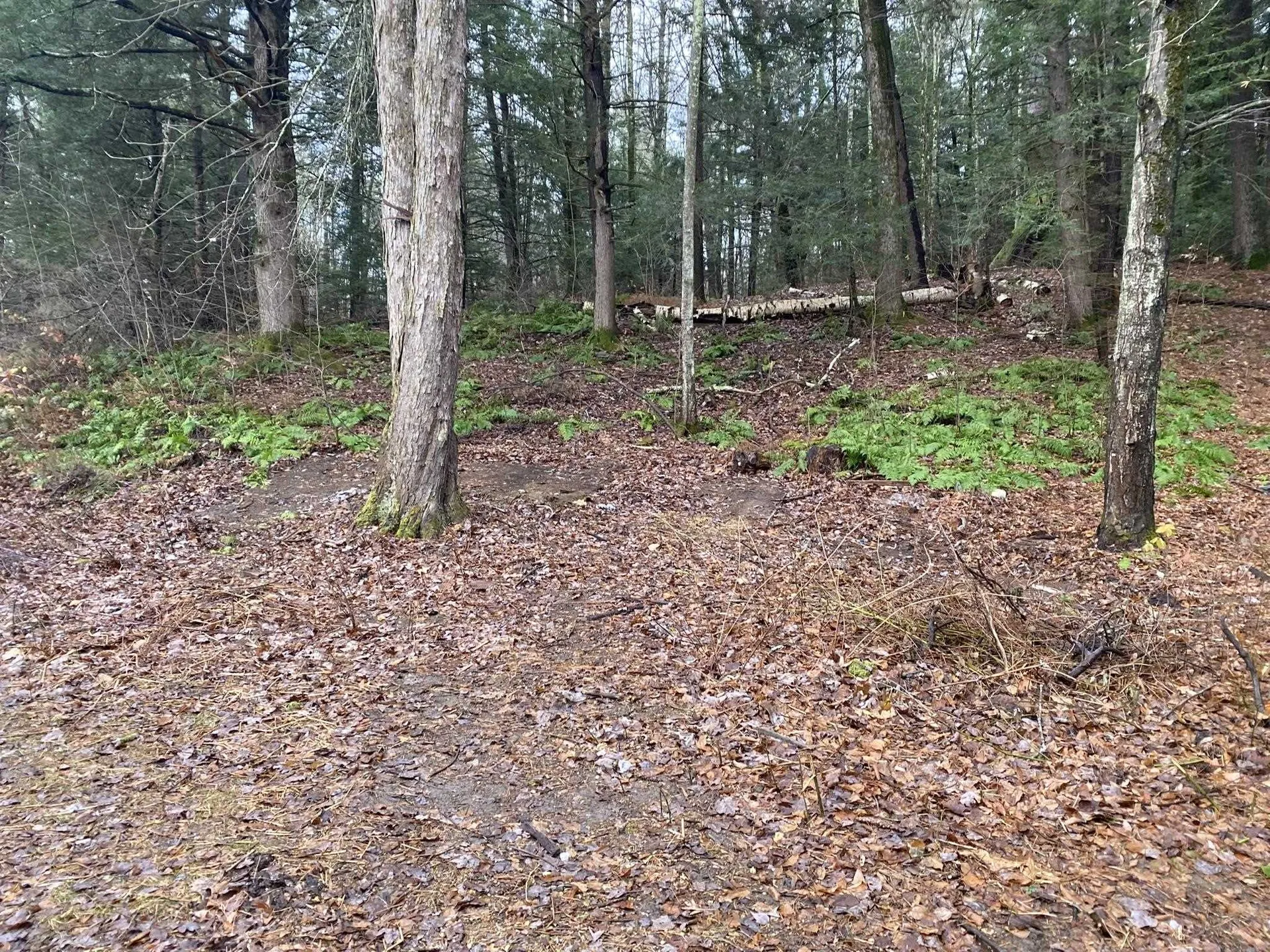 16 Beam Road Putney VT 05346
