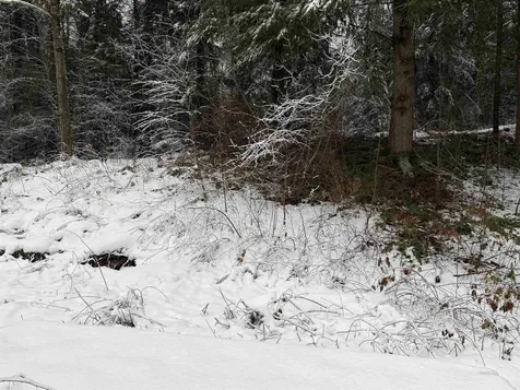 16 Beam Road Putney VT 05346