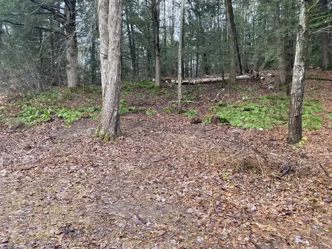 16 Beam Road Putney VT 05346
