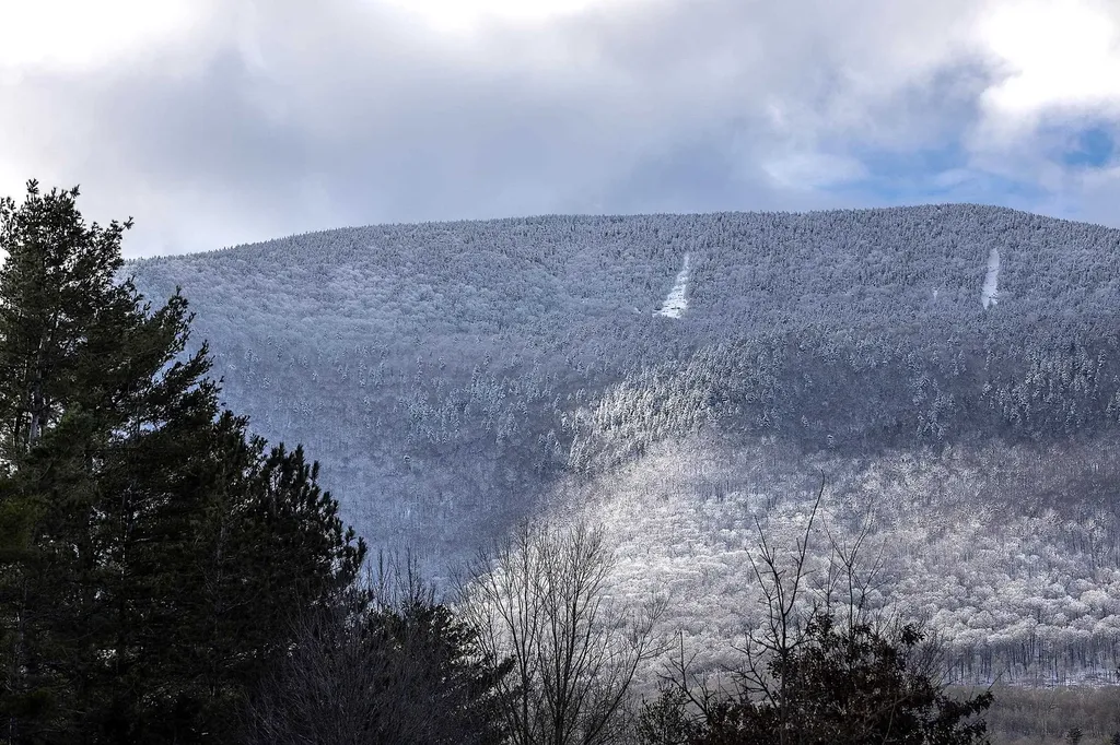 411 Eob Road Manchester VT 05254