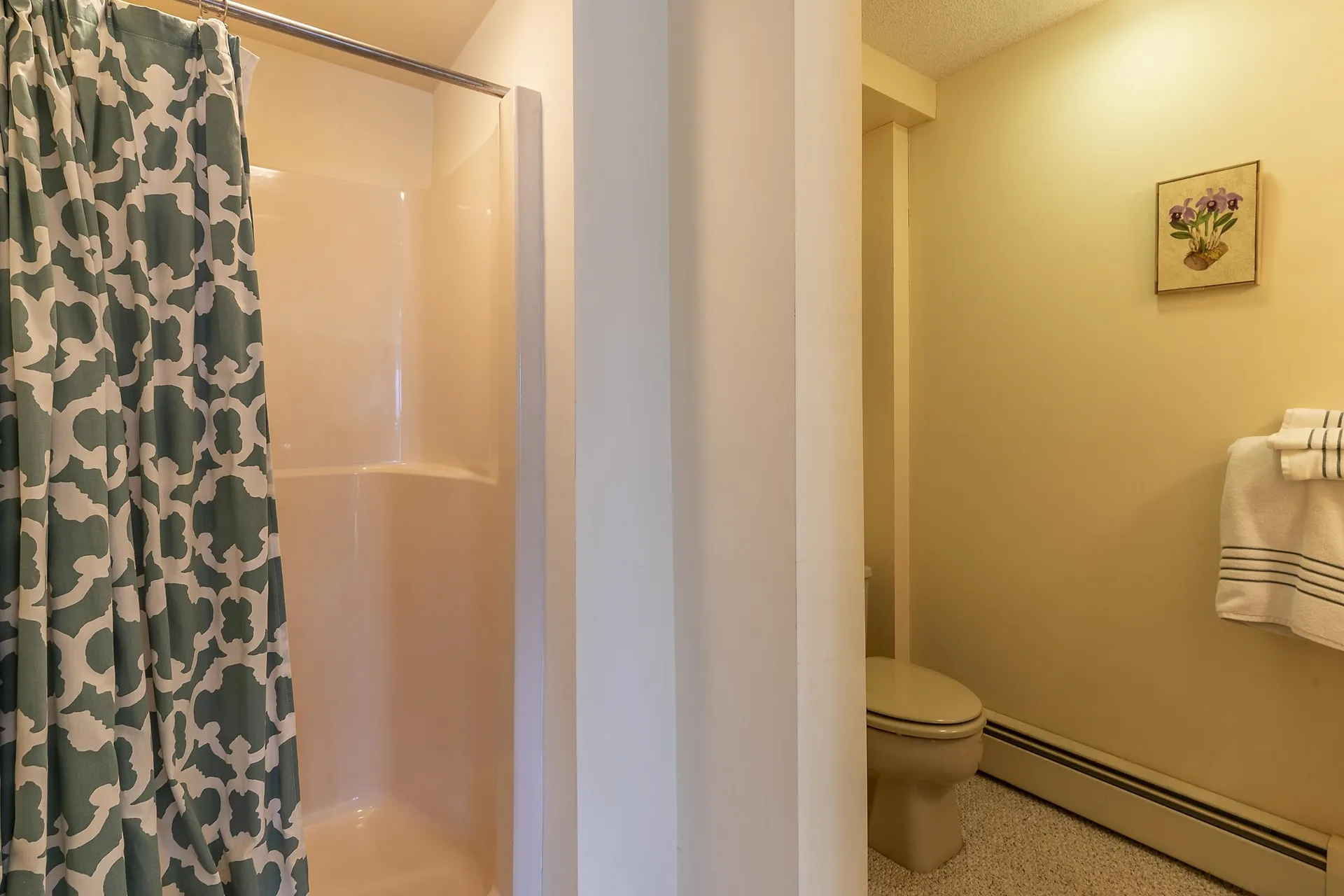 411 Eob Road Manchester VT 05254