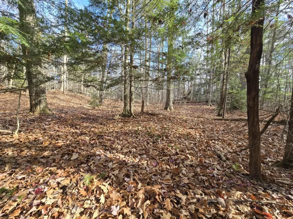 217 Charlestown Road Acworth NH 03601