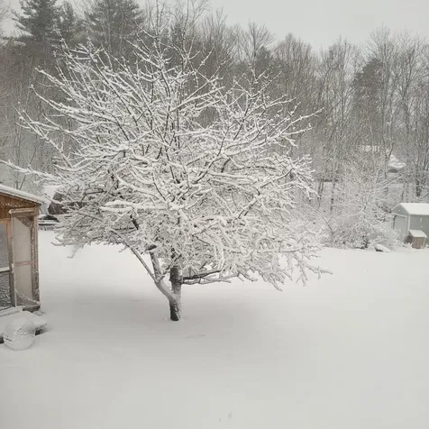 19 Bible Hill Road Claremont NH 03743