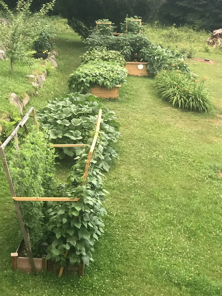 94 Town Farm Extension Springfield NH 03284