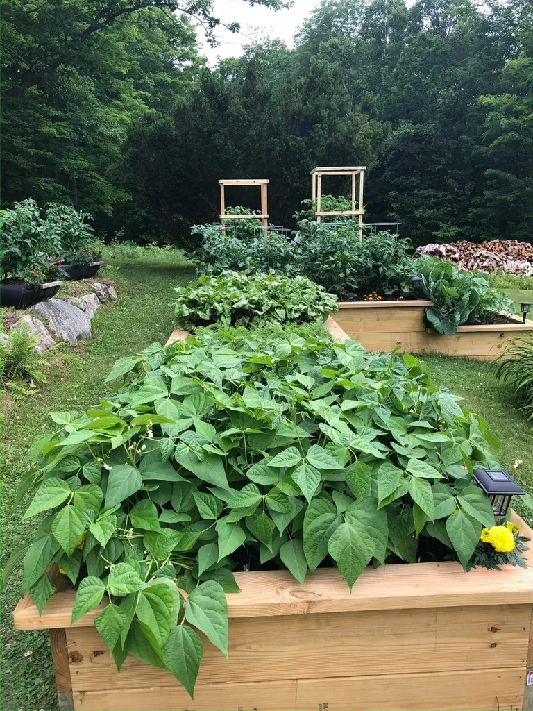 94 Town Farm Extension Springfield NH 03284