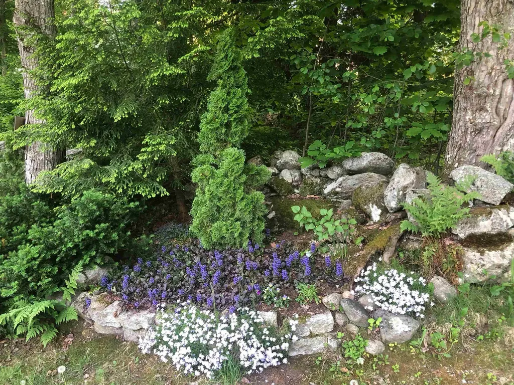 94 Town Farm Extension Springfield NH 03284