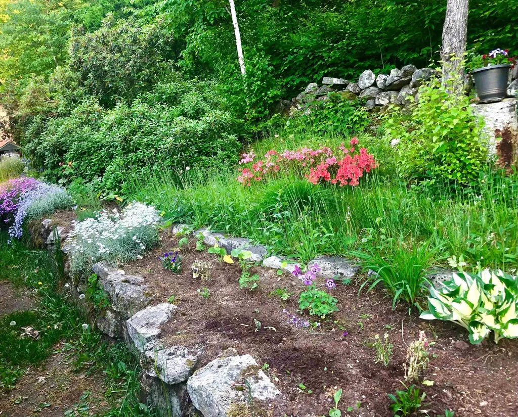 94 Town Farm Extension Springfield NH 03284