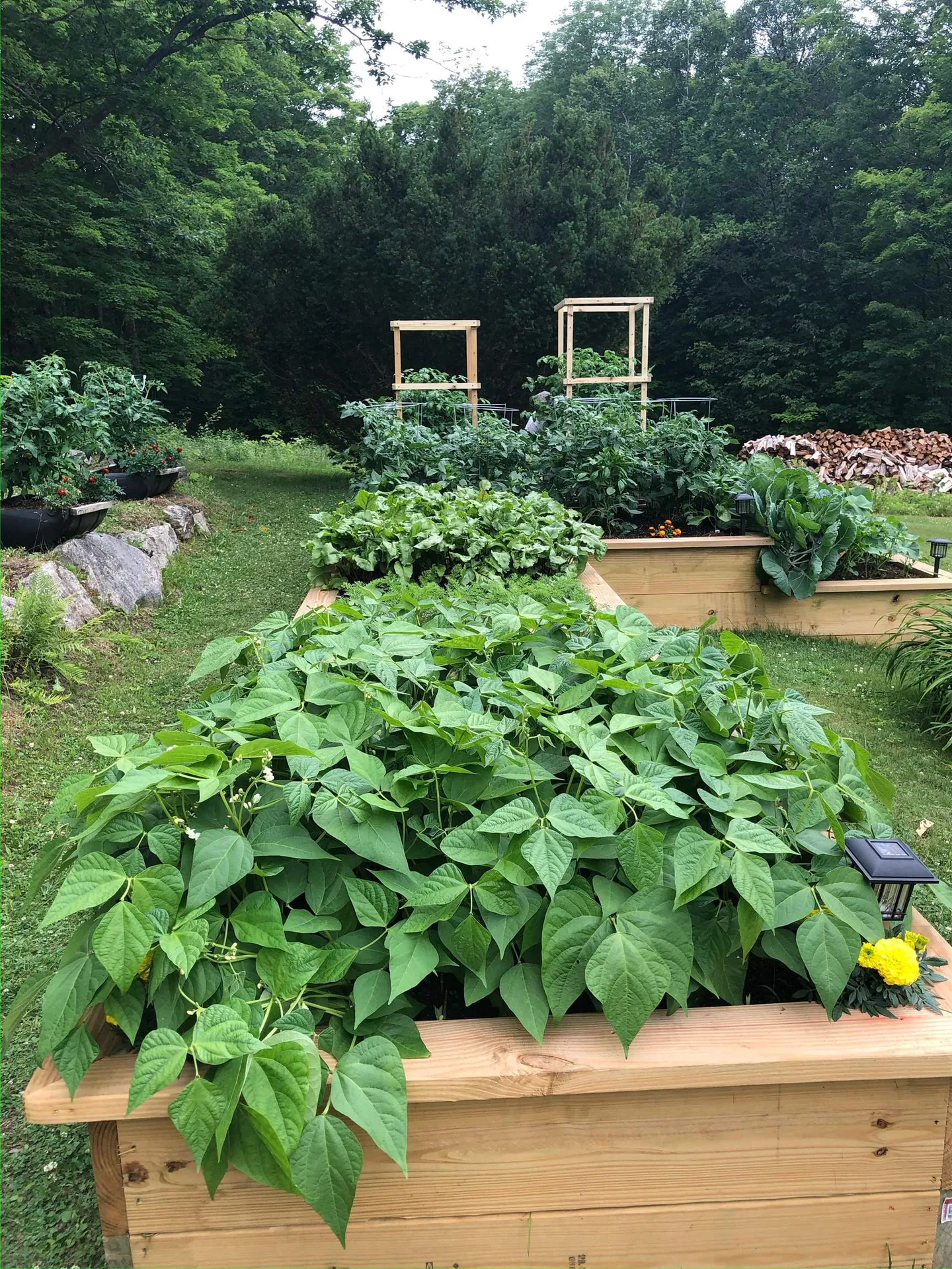 94 Town Farm Extension Springfield NH 03284