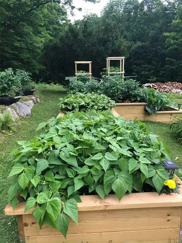 94 Town Farm Extension Springfield NH 03284