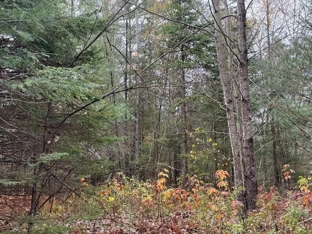 800 Scott's Lane Craftsbury VT 05826