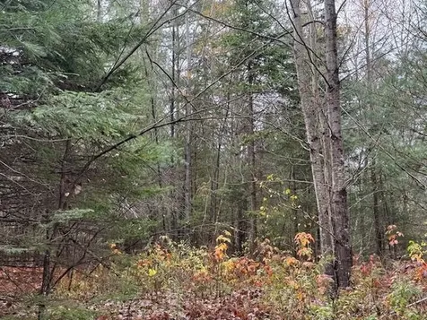 800 Scott's Lane Craftsbury VT 05826