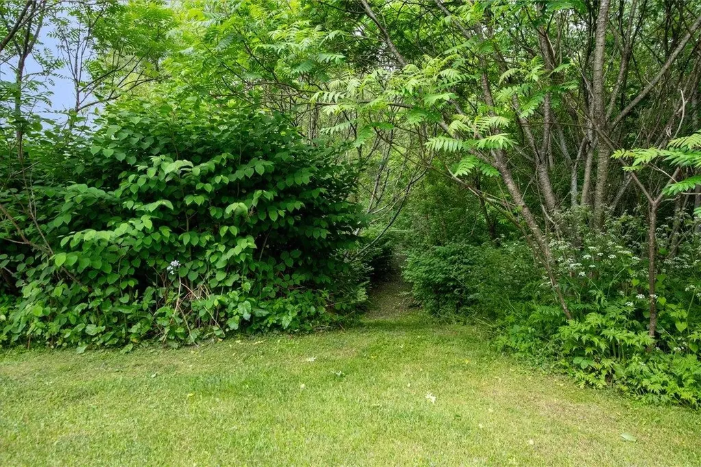 222 River Street Bethel VT 05032