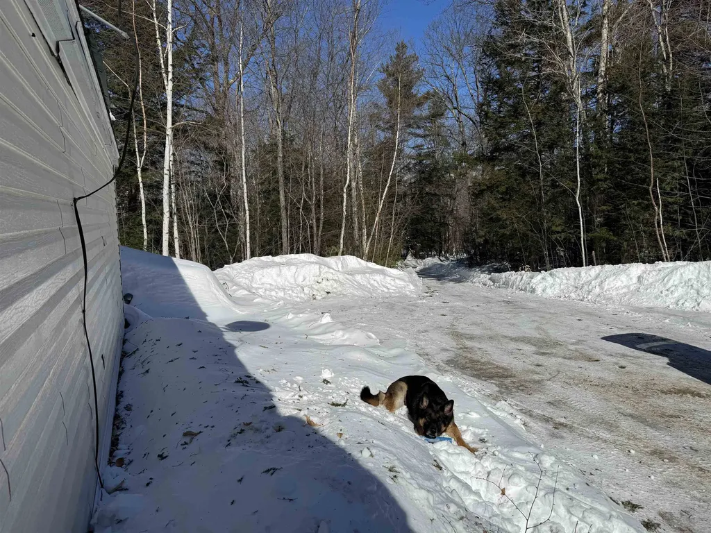 319 Ossipee Mountain Road Ossipee NH 03814