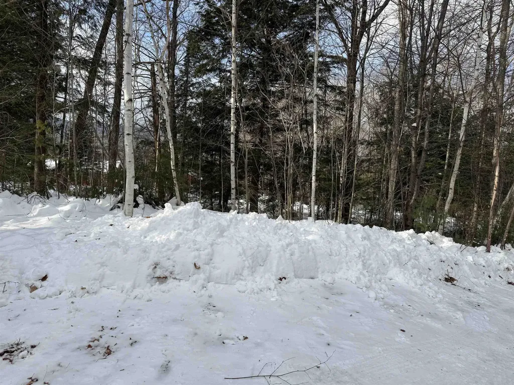 319 Ossipee Mountain Road Ossipee NH 03814