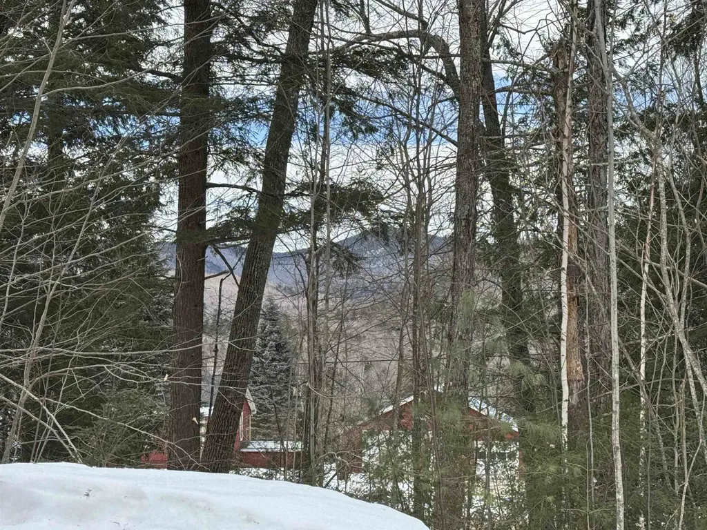 319 Ossipee Mountain Road Ossipee NH 03814