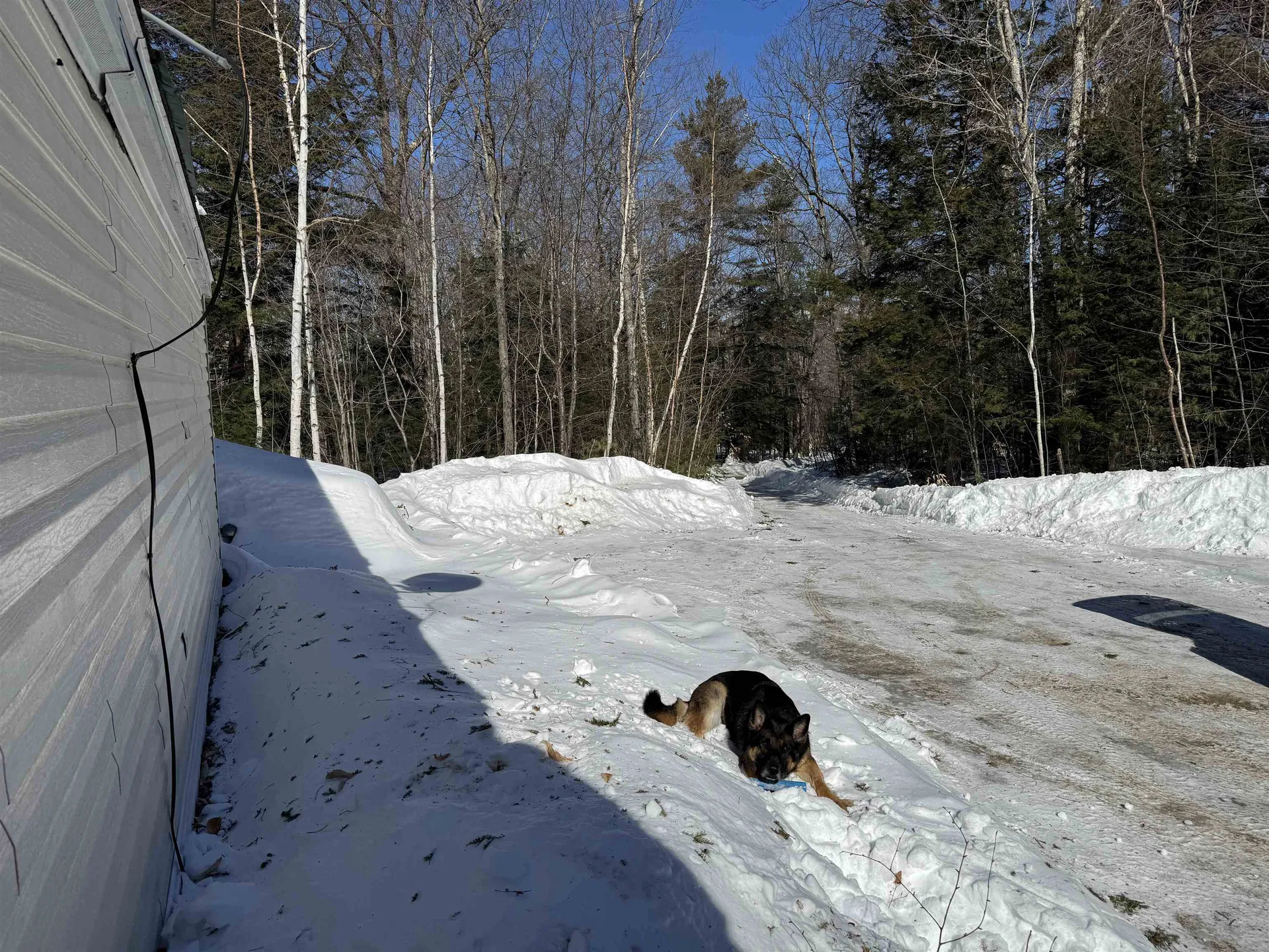 319 Ossipee Mountain Road Ossipee NH 03814