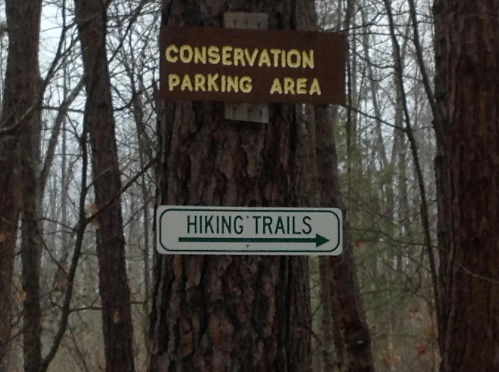 319 Ossipee Mountain Road Ossipee NH 03814