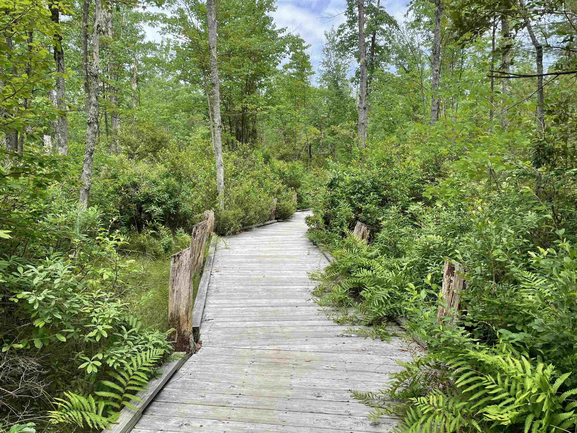 319 Ossipee Mountain Road Ossipee NH 03814