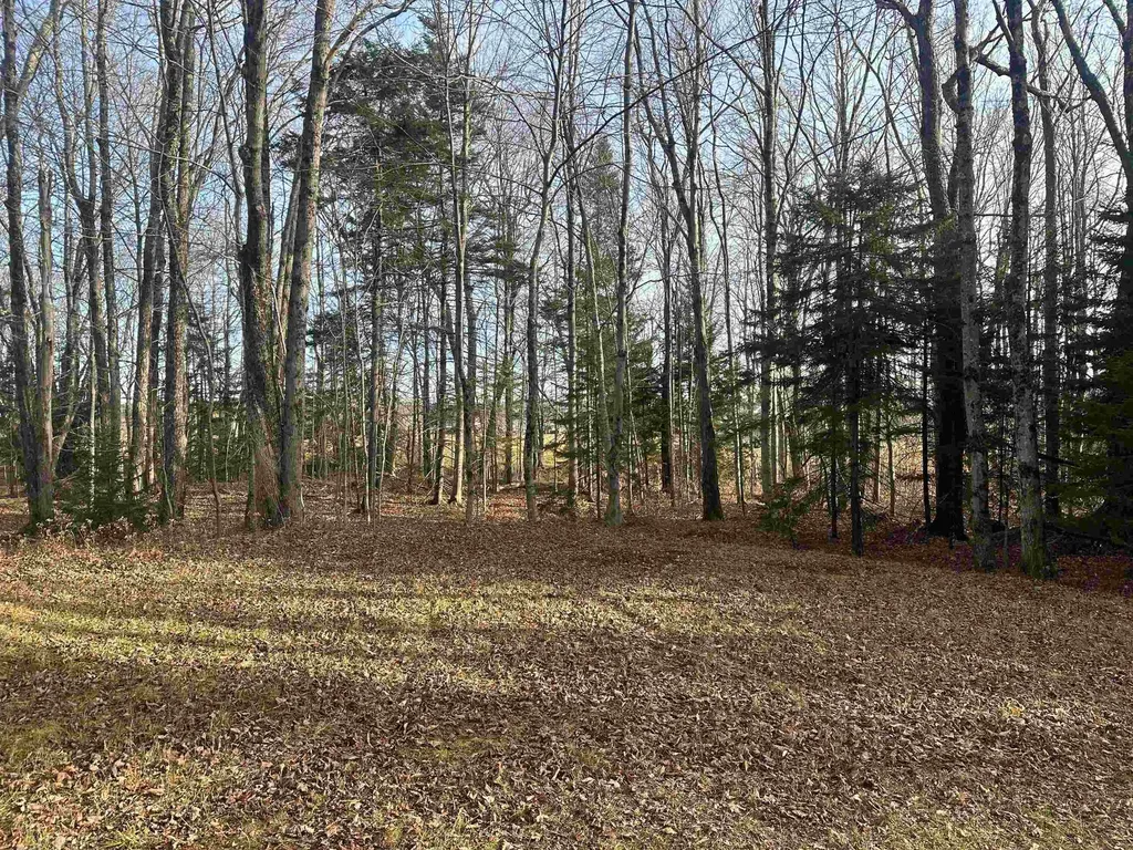 31 Mann Road Wilmington VT 05363