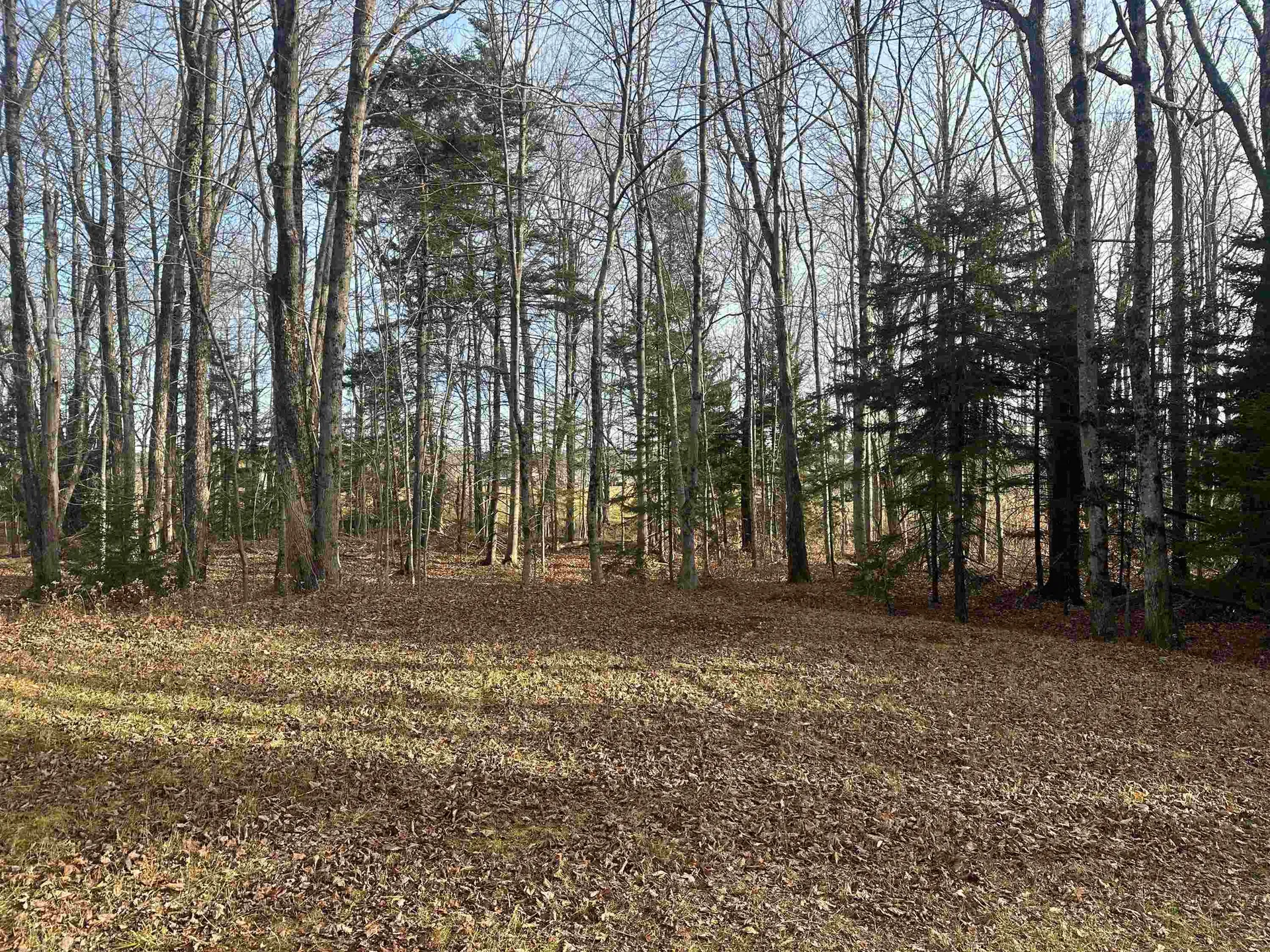 31 Mann Road Wilmington VT 05363