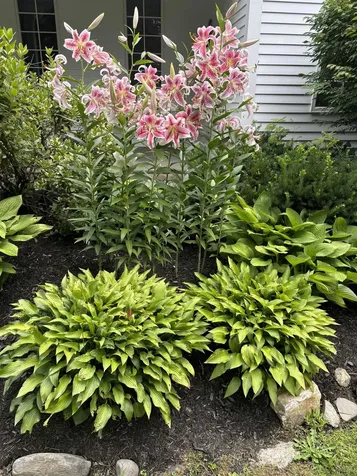 10 Fairbanks Turn Road Hartford VT 05059