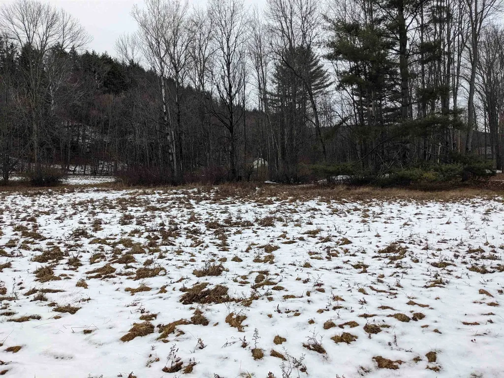 95 Sevigny Road Castleton VT 05735