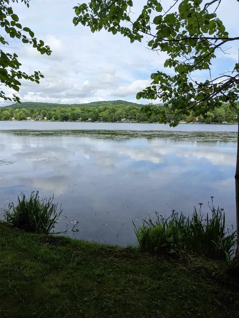 95 Sevigny Road Castleton VT 05735