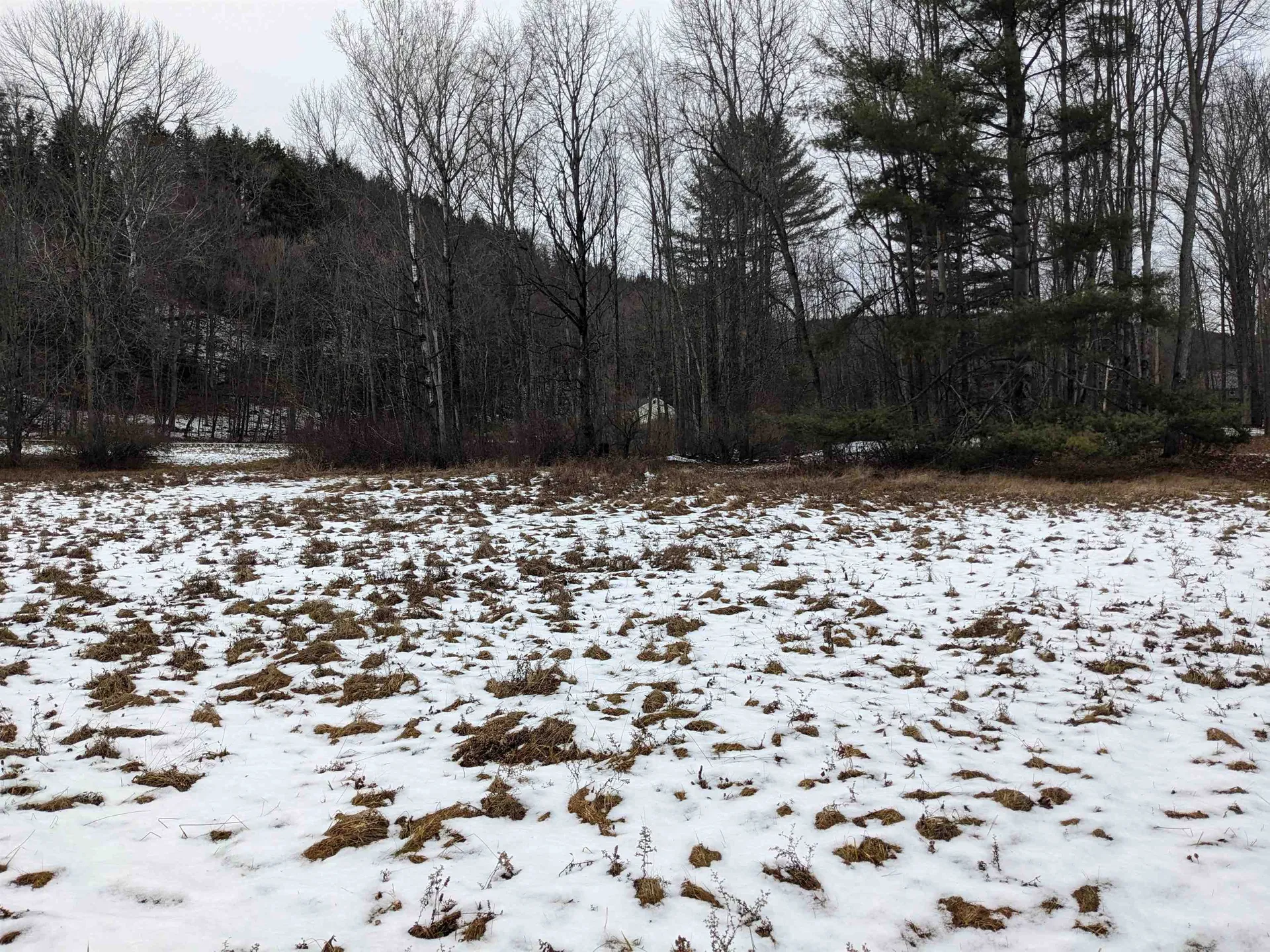 95 Sevigny Road Castleton VT 05735