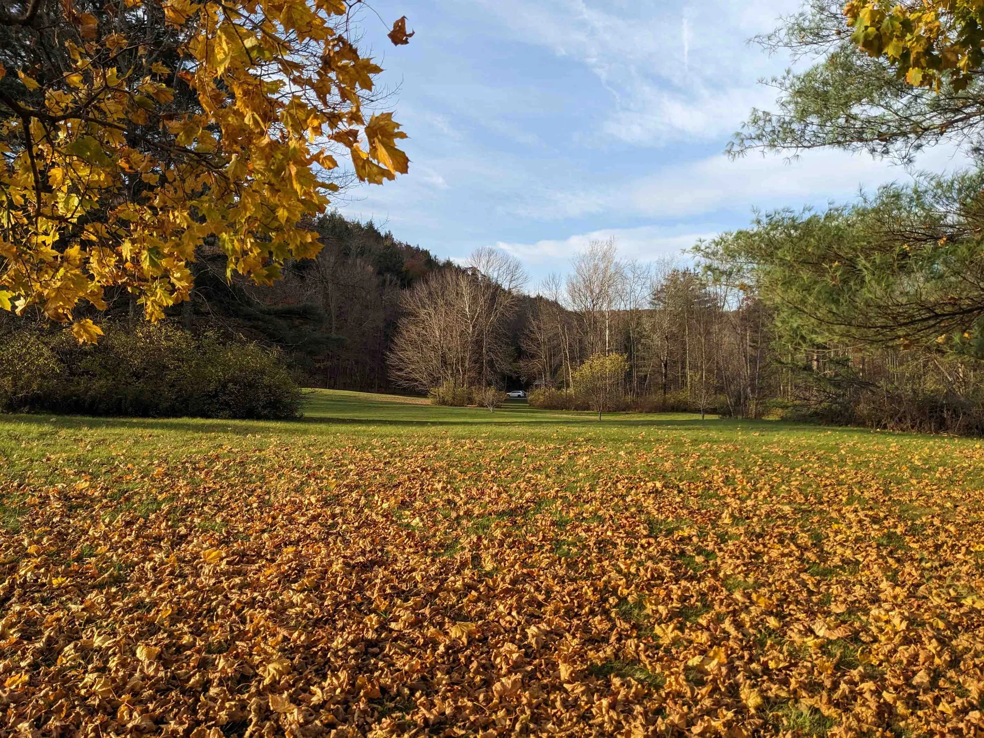 95 Sevigny Road Castleton VT 05735